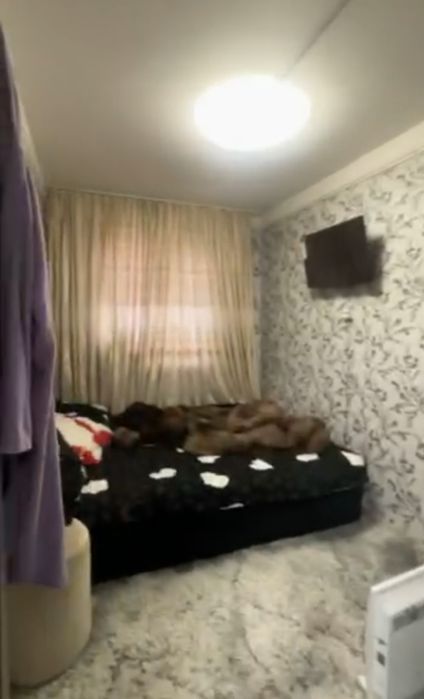 Сергели Спутник 9 2*3/1/2 с ремонтом,есть огород,переделанная в 3 ком