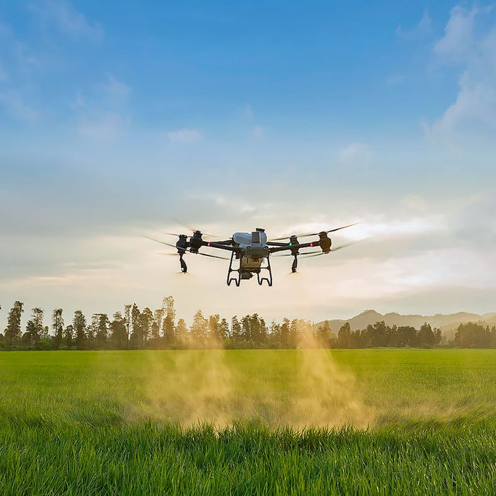 Пръскане със земеделски дрон