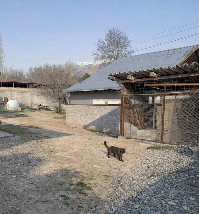 Srochno Sijjakda yer  elit dachaga