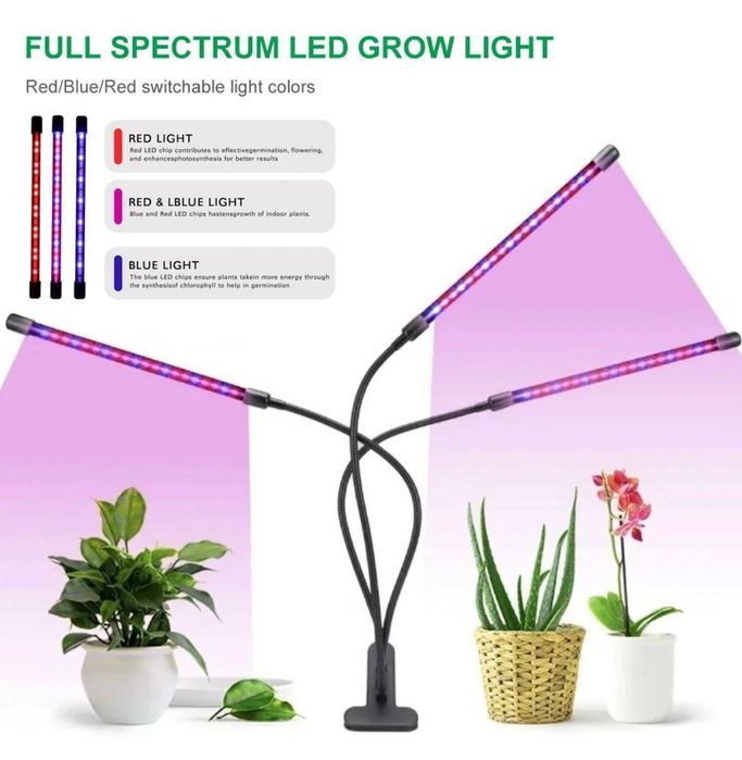 Фитолампы для растений