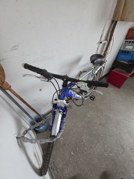 Bicicleta adulți