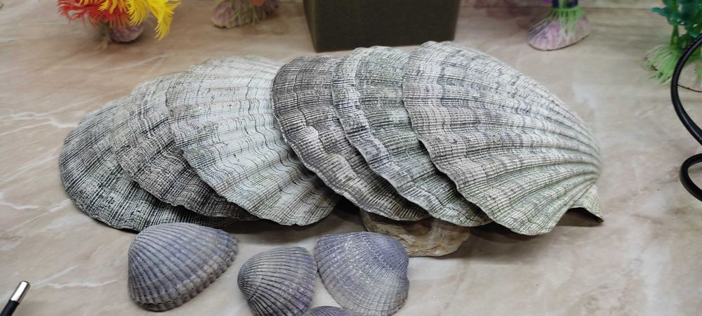 Продавам аксесоари за аквариум