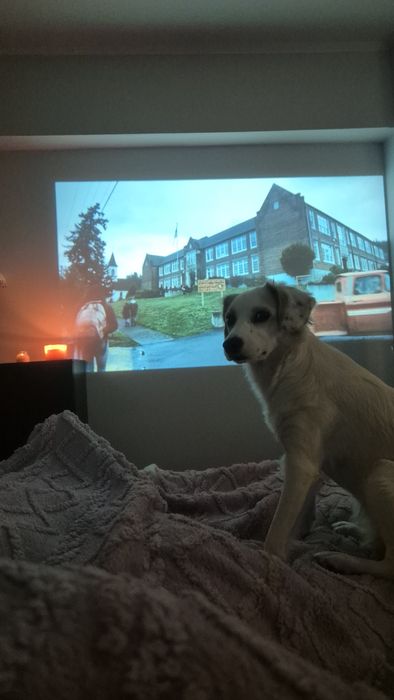 Проектор TouYinger q10w