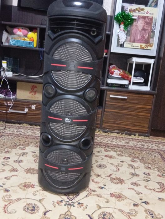 Большая колонка, в хорошем состоянии.С микрофоном, катится на колесах.