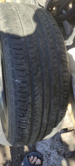 Шины летние Hankook OPTIMO