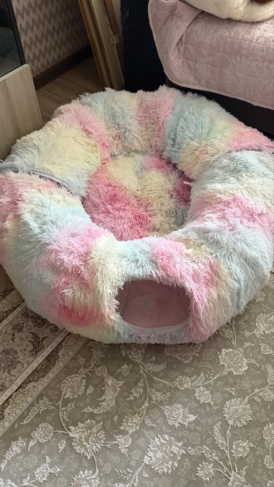 Мысык/кошка бесплатно