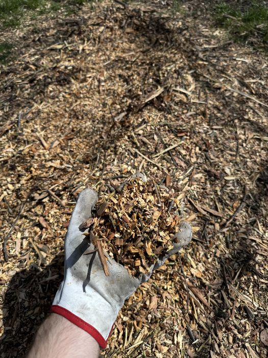 Tocator de crengi/inchiriez scule/inchirieri/burghiu de pamant