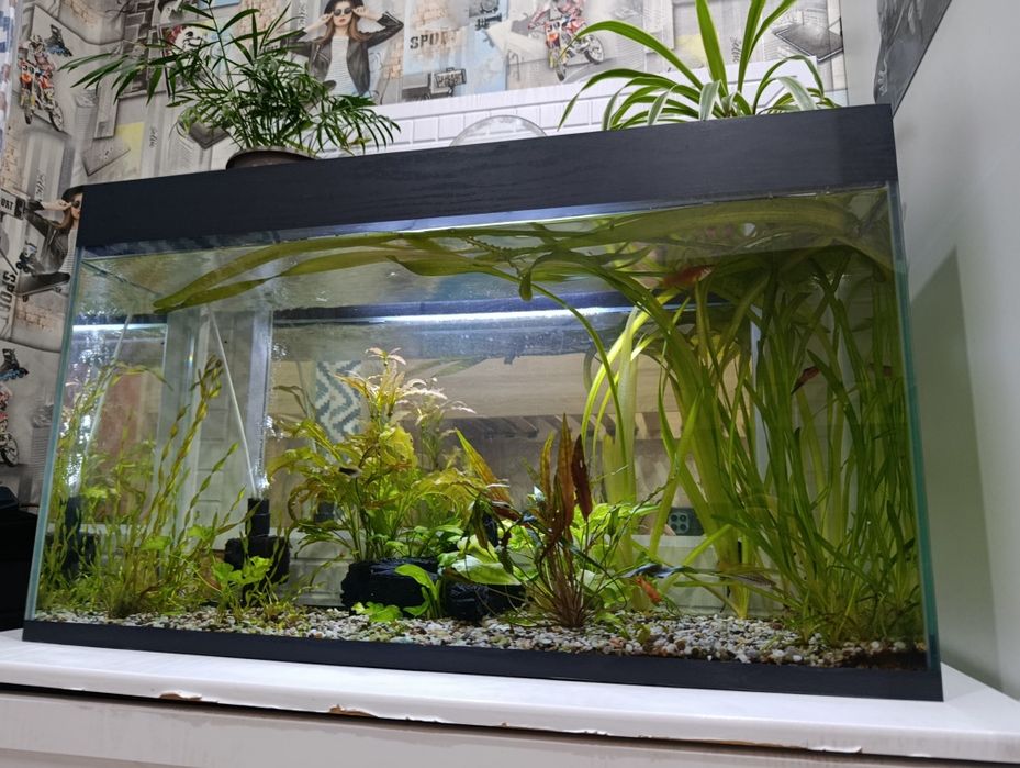 Новый аквариум 110 литров со всем