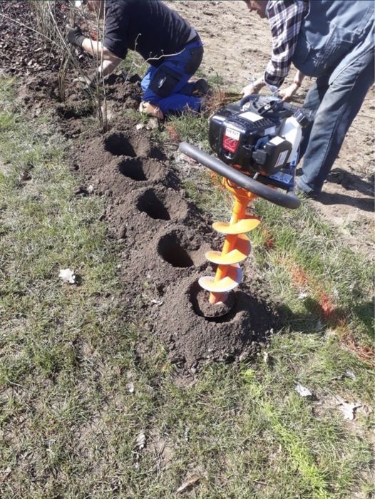 Gard Viu , lemn cainesc