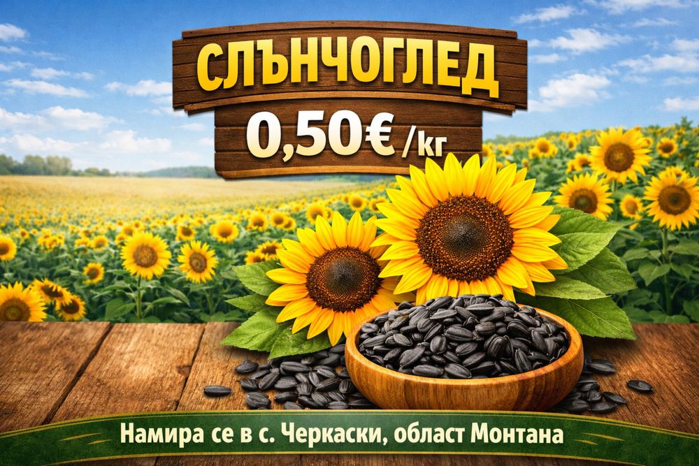 Маслодаен слънчоглед