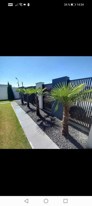 Grădini Unice – Plante Selecte, Gazon Dens și Detalii Decorative!