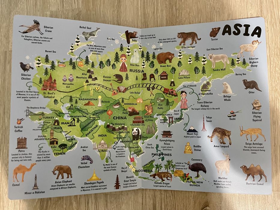 Нови бебешки книжки с животни твърди корици и страници