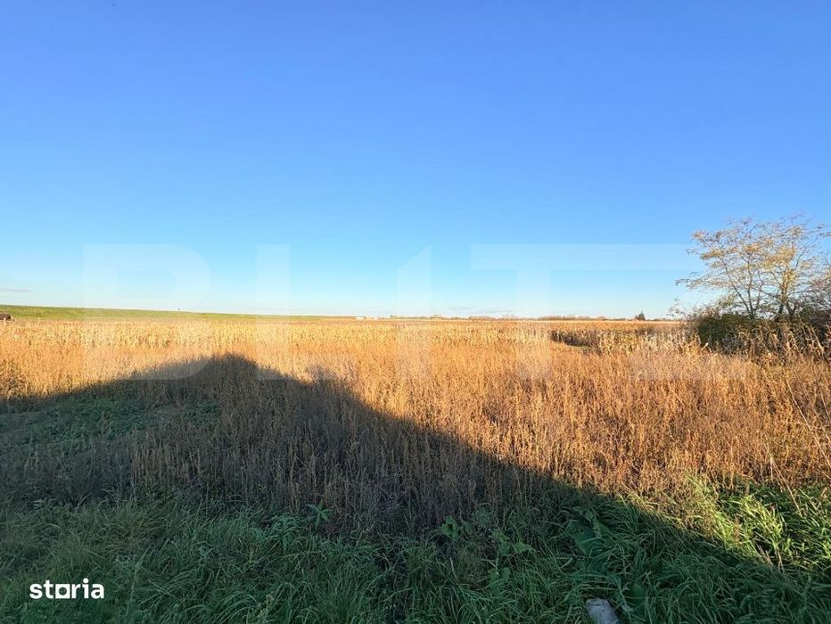 Teren intravilan 1.130 mp ,in Vetis