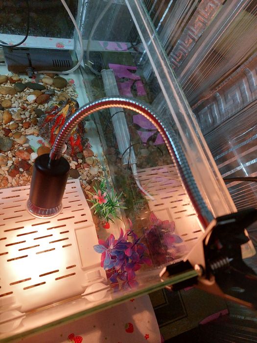 Светильник для террариума