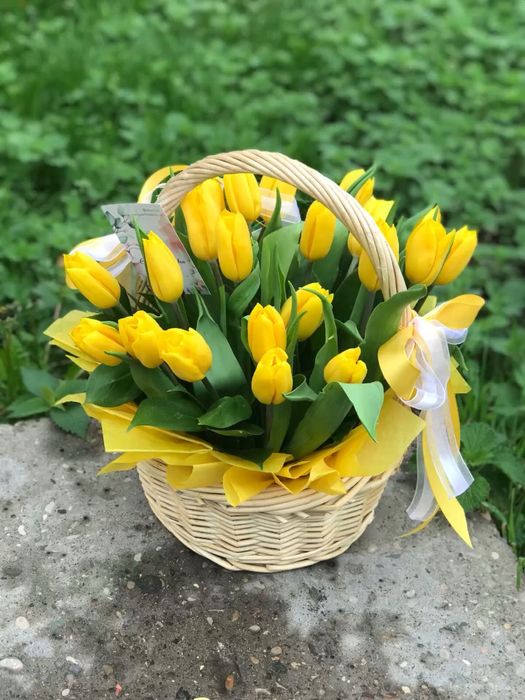 Тюльпаны желтые и белые