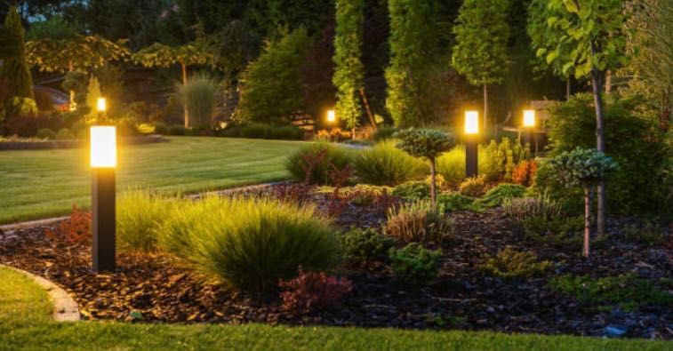 Газон посевной и рулонный