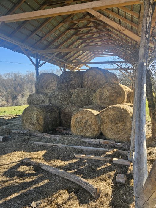 Vând baloti fan foarte bun 120x120