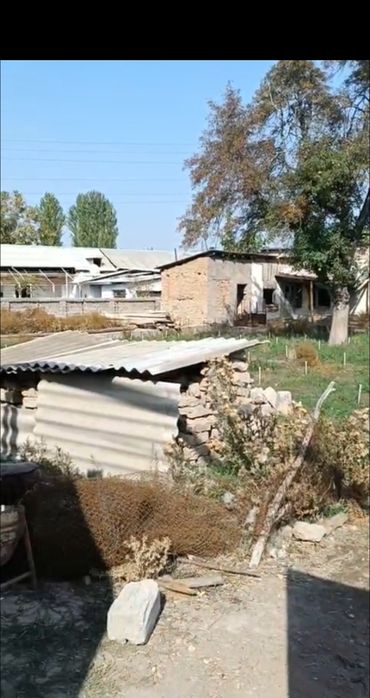 тошкент вилояти ортачирчик участок 10 сотка