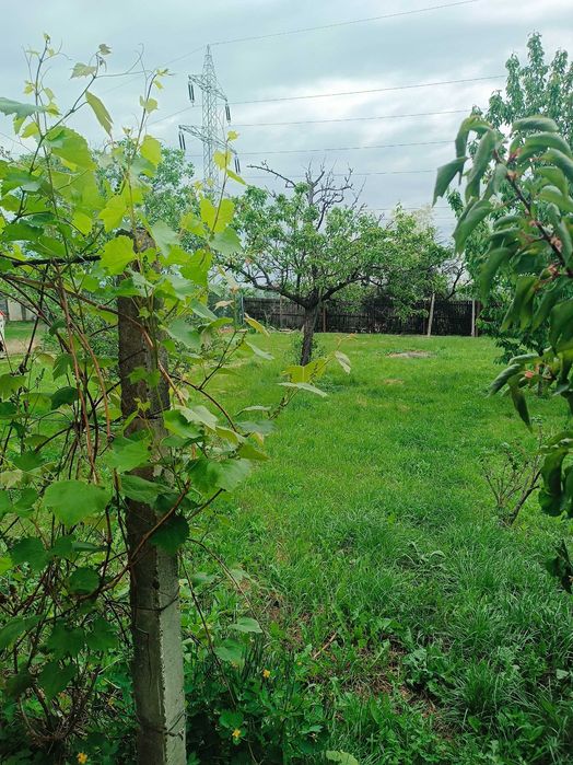 casa de vinzare in com Floresti,sat.Catina,jud Prahova,4camere,gaze,apa,canalizare ,1450mp pe str principala nu are baie,15 km  MORENI,15km CAMPINA,