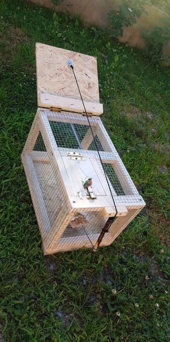 Capcane animale si pasari din lemn