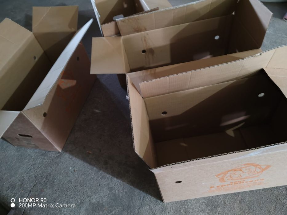 Продам коробки из под яичных лотков