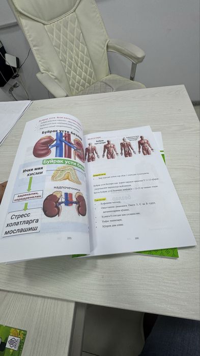 Hijoma adabiyoti o’zimizni mutahasislar yozgan kitob