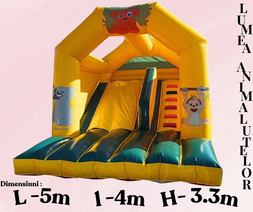 Nioc slides !!Tobogane gonflabile ORADEA!