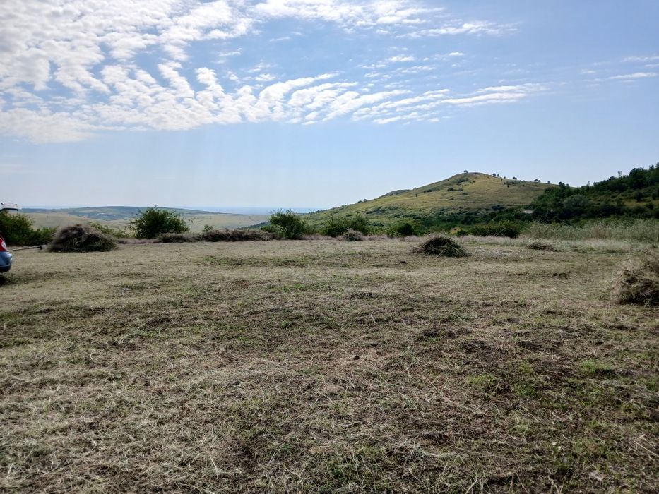 Teren extravilan in Tohani Ph