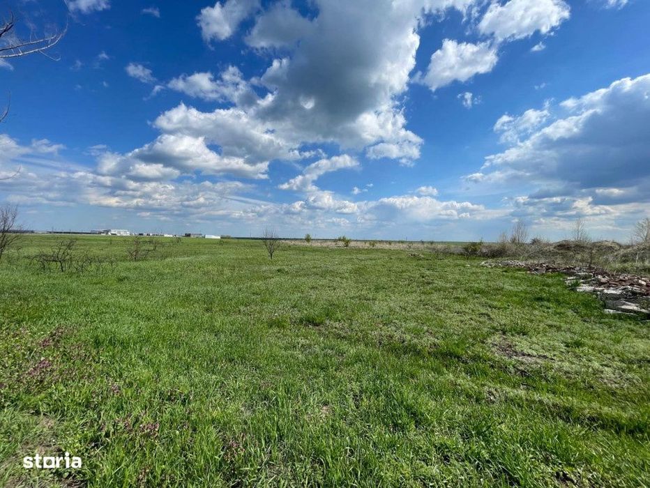 Teren intravilan 10013 mp Pielesti DN65