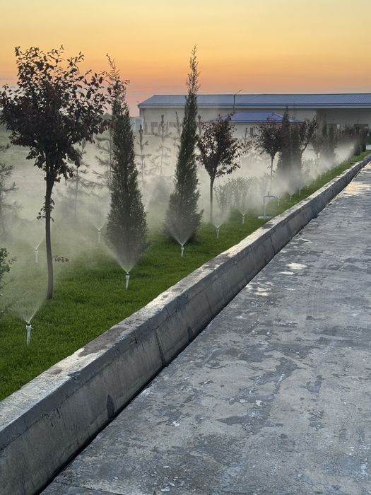 Gazon tayor ruloni landshaf dizayin xizmati