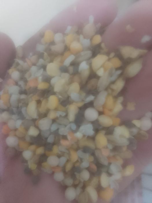 Зерноотходы Отруби ячмень Полова корма