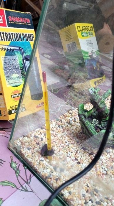 Аквариум с нагревател и термометър