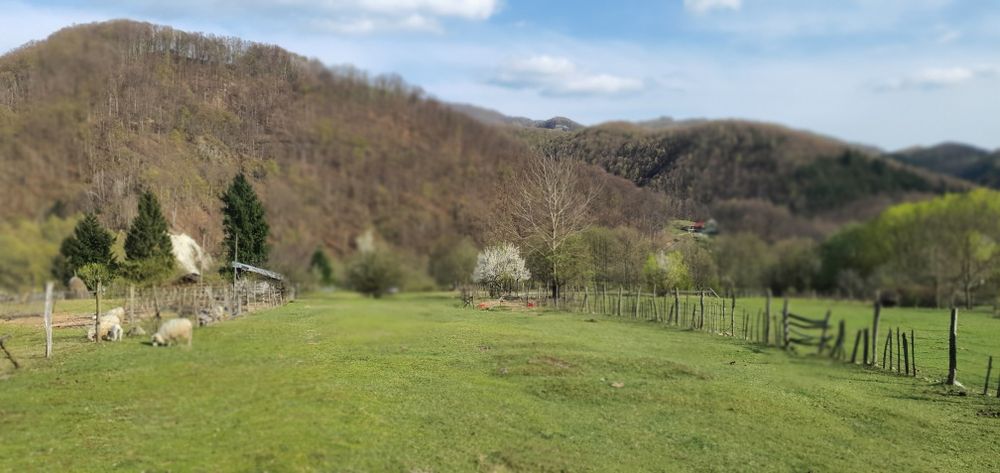 Teren intravilan Closani, Gorj,8674 mp pensiune/ casa vacanta