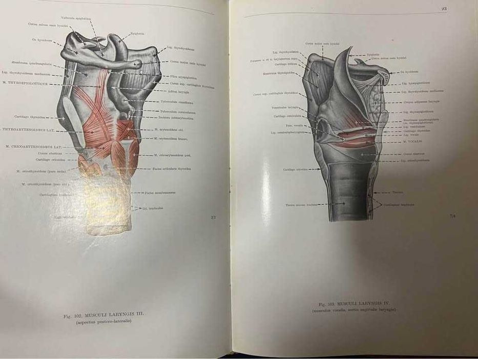 Анатомический атлас человеческого тела 3 книги  Кишш Ференц