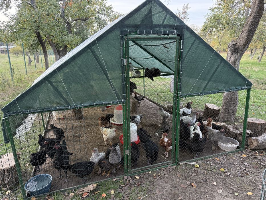 Вольер универсальный, клетка, курятник