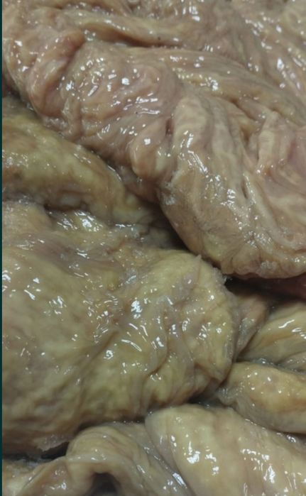 Продам қарын конина