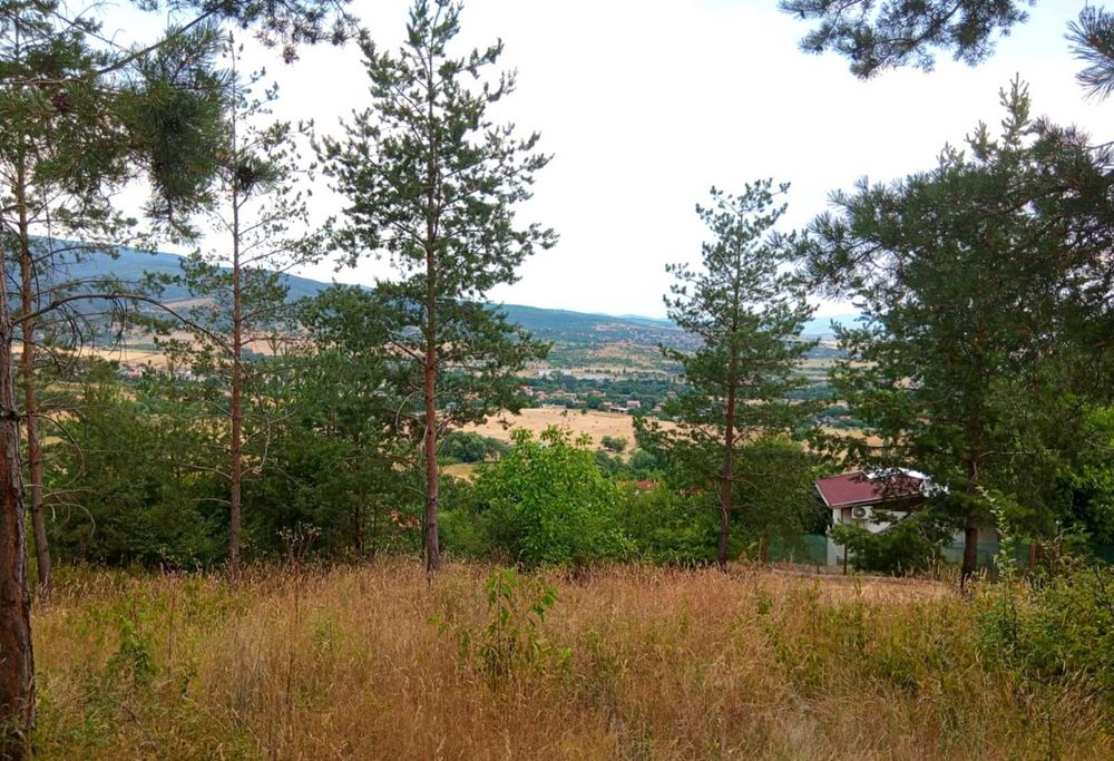 Парцел,УПИ Гола Велика гр.Кюстендил