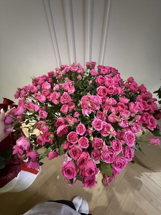 Цветы розы,кустовые,пионовидные розы