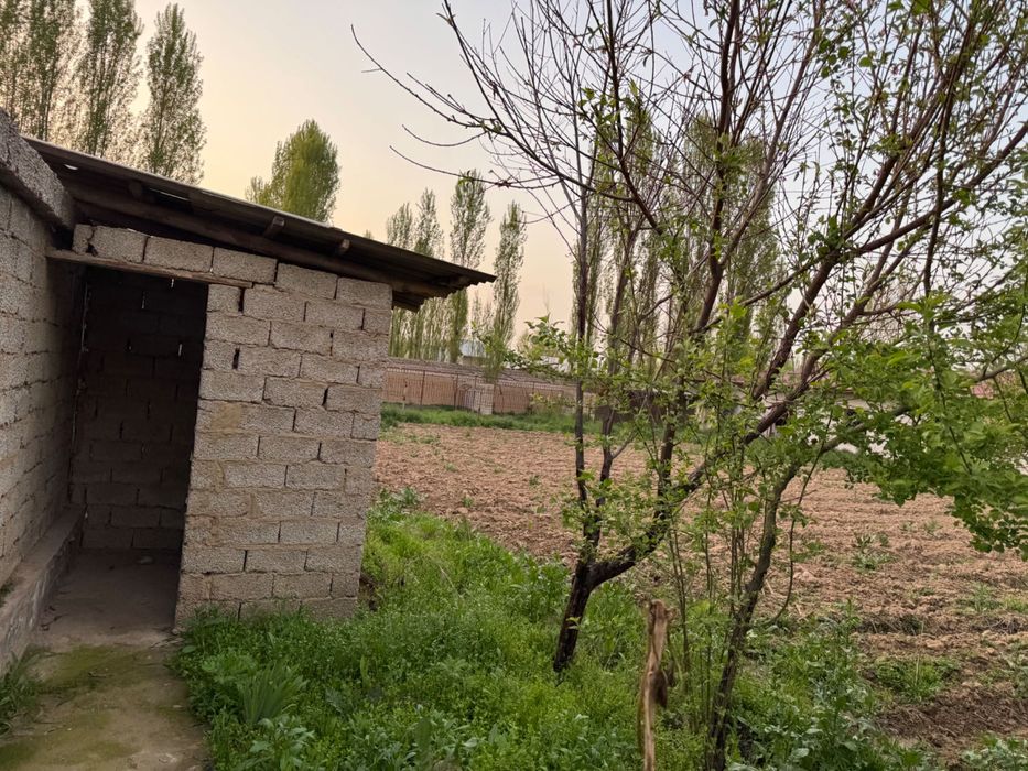 Yangiyolda 20 sotik ferma sotiladi hama sharoit bor