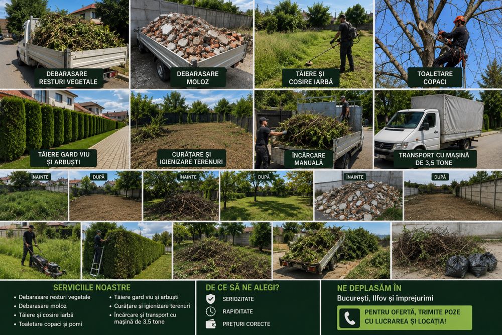 Tundere iarba/ toaletare copaci/ debarasare/ curatare curti
