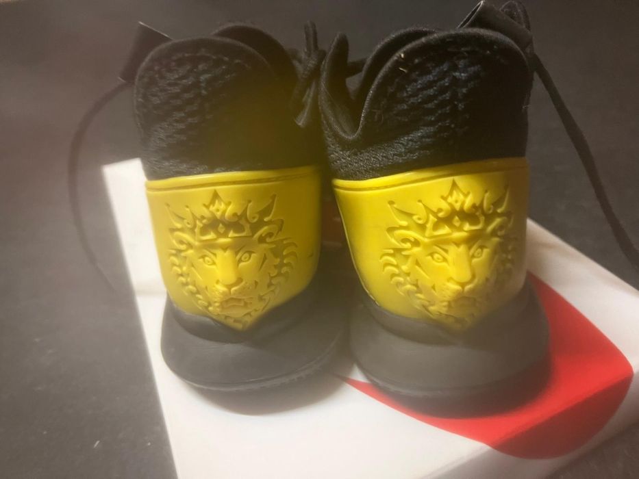 Vand Adidasi Nike LeBron