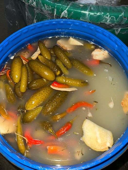 Varză,gogonele, castraveți