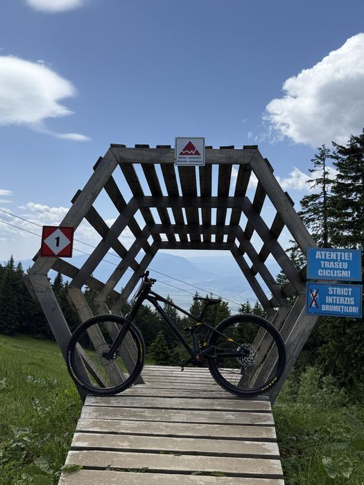 Vnad mondraker summum r 2022