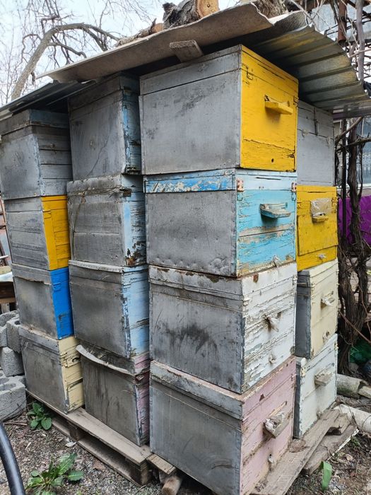 Улья   для  пчел