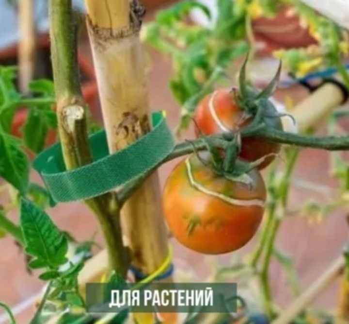 Хозяйственные работы в огороде