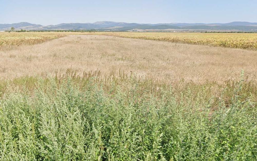 Продава се Парцел в Елин Пелин - 4520 кв.м за 70 €/кв.м - Снимка #2