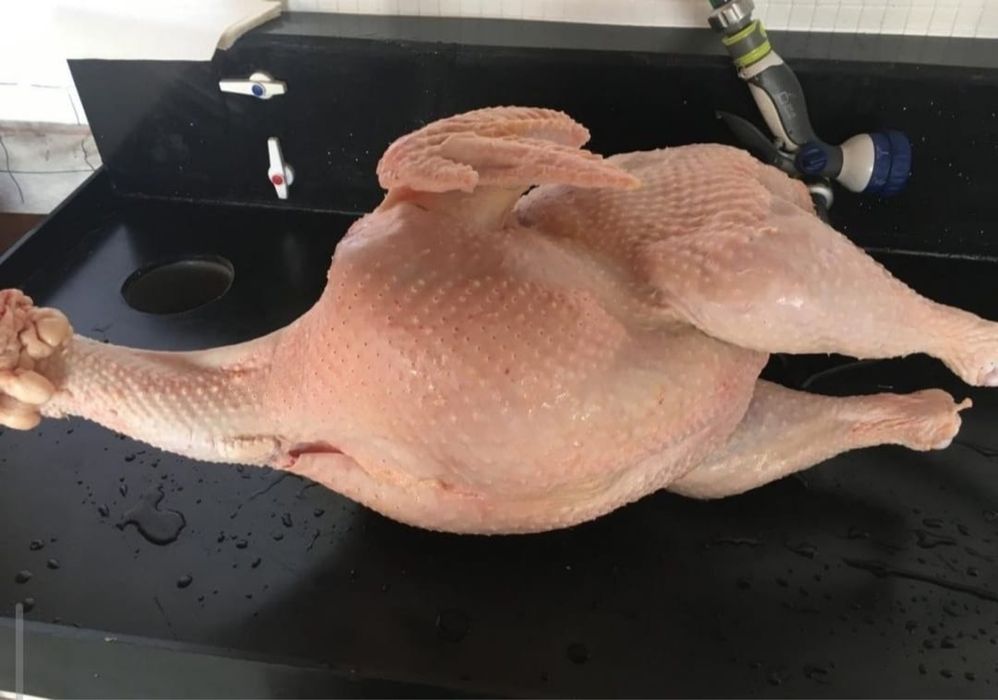 Индюк мясо индюк курке