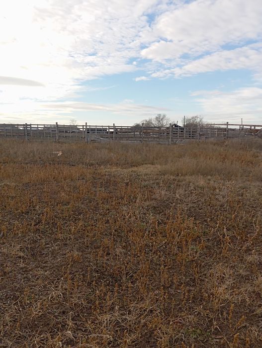 Земельный участок