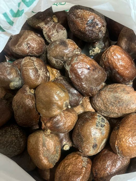 Орешки мохилкин от бесплодия