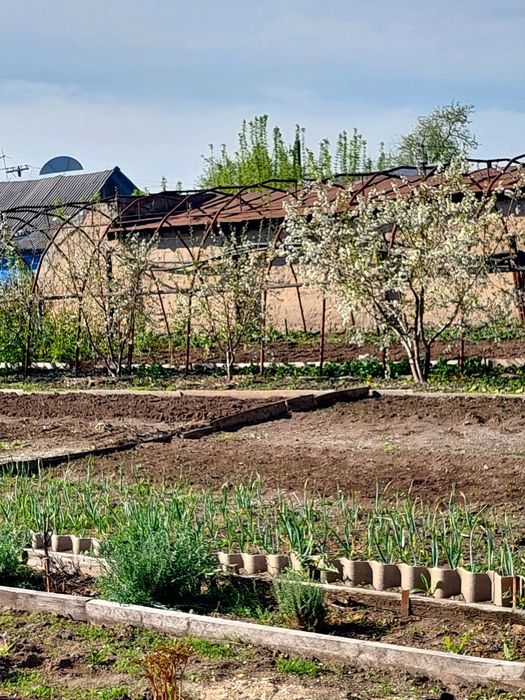 Продам дом в Сортировке. 9 соток.